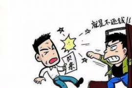 泸定融资清欠服务