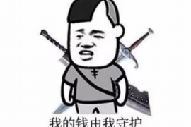 泸定企业清欠服务